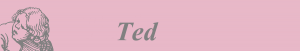 Ted logo